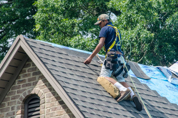 Quick and Trustworthy Emergency Roof Repair Services in Rural Hill, TN